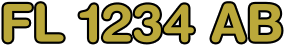 FL 1234 AB