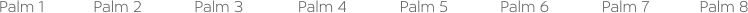 Palm 1 Palm 2 Palm 3 Palm 4 Palm 5 Palm 6 Palm 7 Palm 8